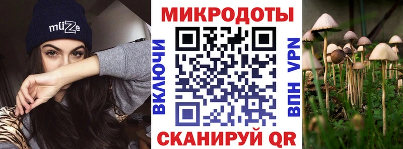 Псилоцибиновые грибы Magic Shrooms  omg сайт  Кедровый 