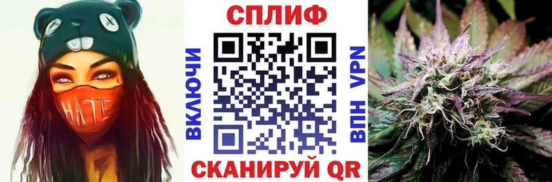 Шишки марихуана план даркнет официальный сайт Кедровый